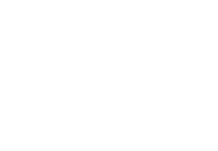 logo white kalleske wines 485px